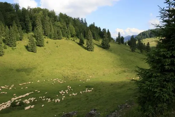 Muntii Poiana Rusca in imagini, alaturi de alte destinatii banatene