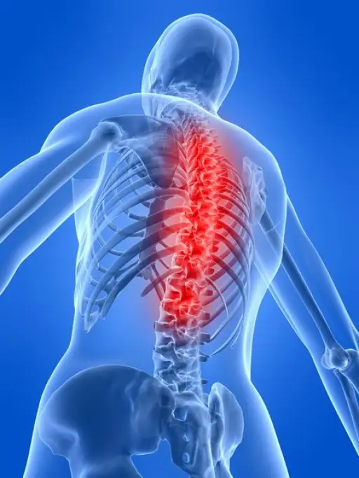 Servicii de recuperare, fizioterapie si acupunctura in Timisoara