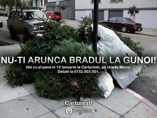 Nu-ti arunca bradul la gunoi!