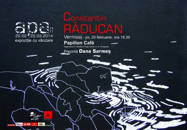 Constantin Raducan - Expozitia “Apa II”