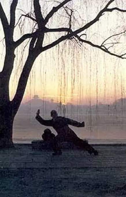 Meditatia si terapia prin Qigong-ul Traditional - Cezar Culda