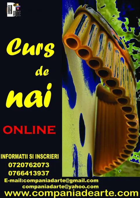 Cursuri individuale de nai online