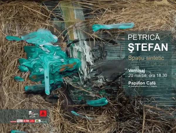 Expozitia “Spatiu sintetic” - Petrica Stefan