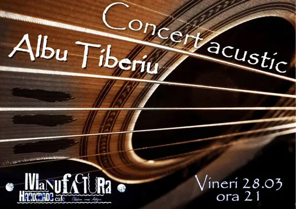 Concert Acustic Albu Tiberiu