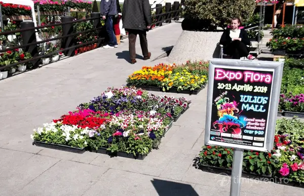 Expo Flora - aprilie 2014