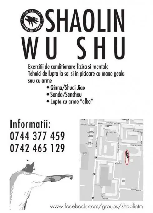 Shaolin Wu Shu - Cursuri de Arte Martiale