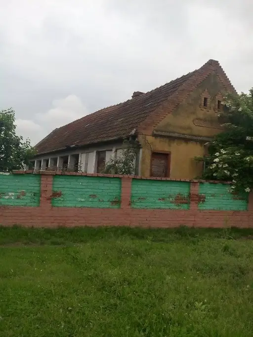 Vand casa cu gradina in Belint