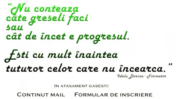Curs formator organizat de DDI Consulting