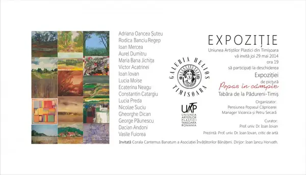 Expozitia de pictura Popas in campie