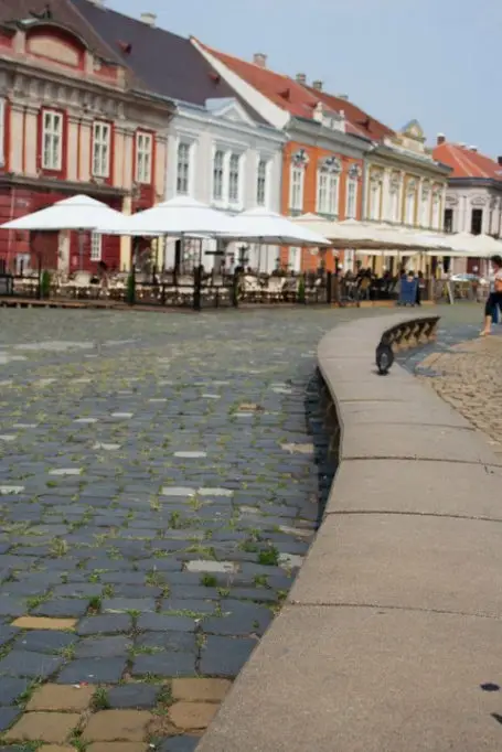 Turist in Timisoara