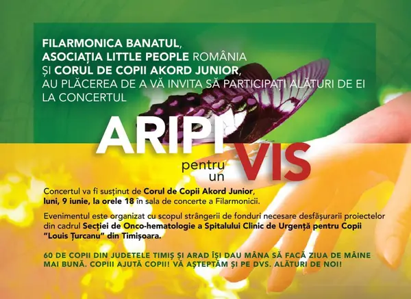 Aripi pentru un vis