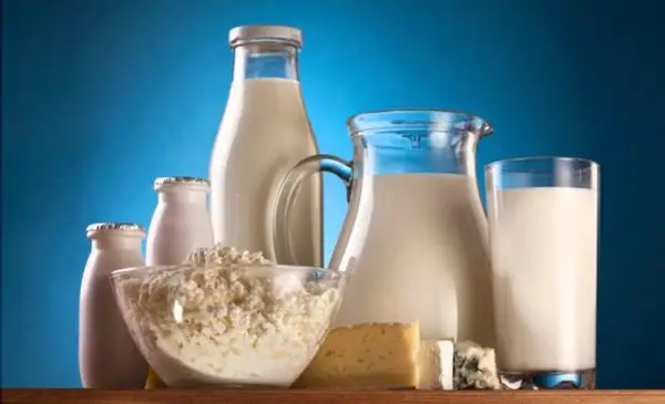 Alimente despre care credem ca ne hranesc, iar ele ne otravesc – Laptele de vaca (II)