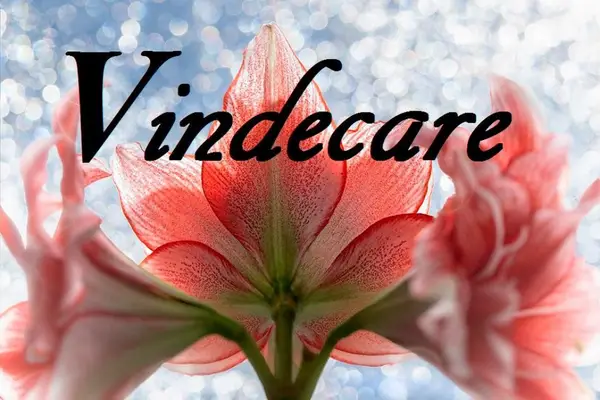 Conferinta despre vindecare in noile energii