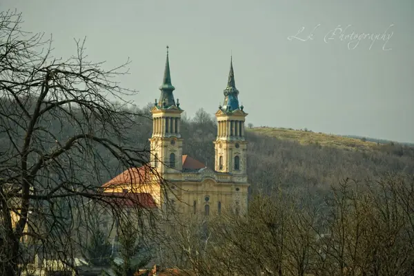 Concert de binefacere pentru restaurarea bazilicii Maria Radna