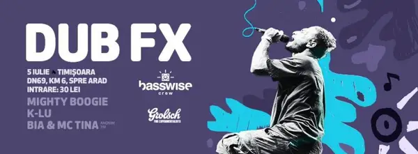 DUB FX
