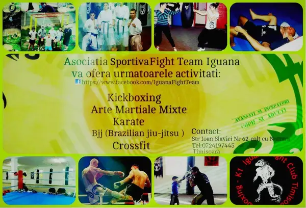 Cursuri de Arte martiale - Kick-boxing, MMA, Brazilian jiu-jitsu, Karate