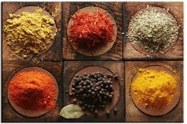 Viziuni, studii si certitudini despre nutritie