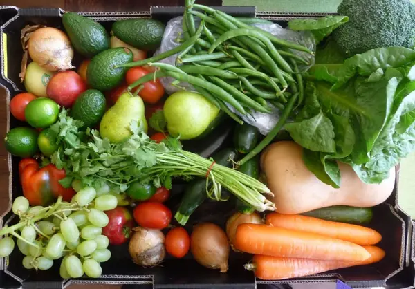 5 reguli de aur, in vederea unei nutritii optime!