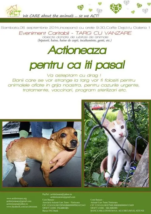 Targ cu vanzare de obiecte donate pentru animalele fara stapan