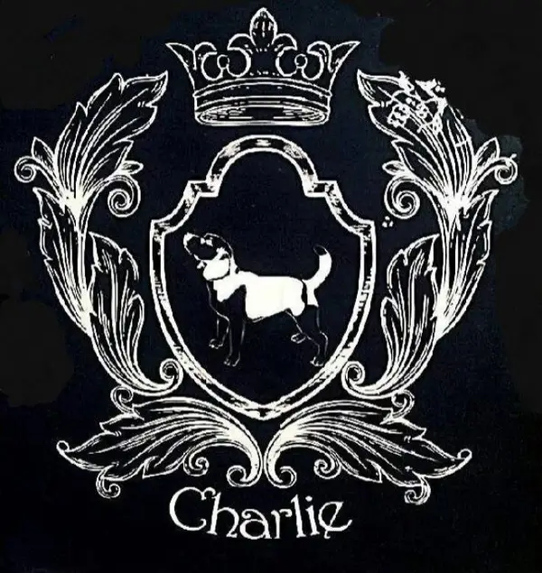 Charlie's Pub
