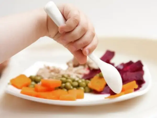 Conferinta “Educatia nutritionala in viata copiilor”