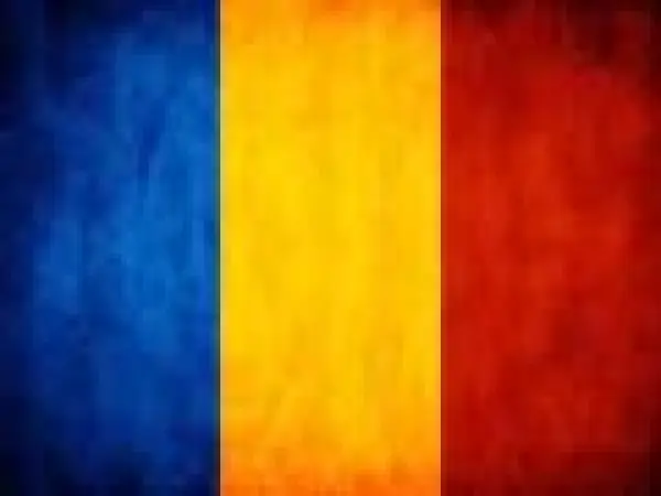 Cursuri individuale de limba romana in Timisoara