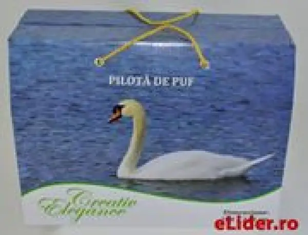Pilote cu puf de gasca si pilote 4 anotimpuri