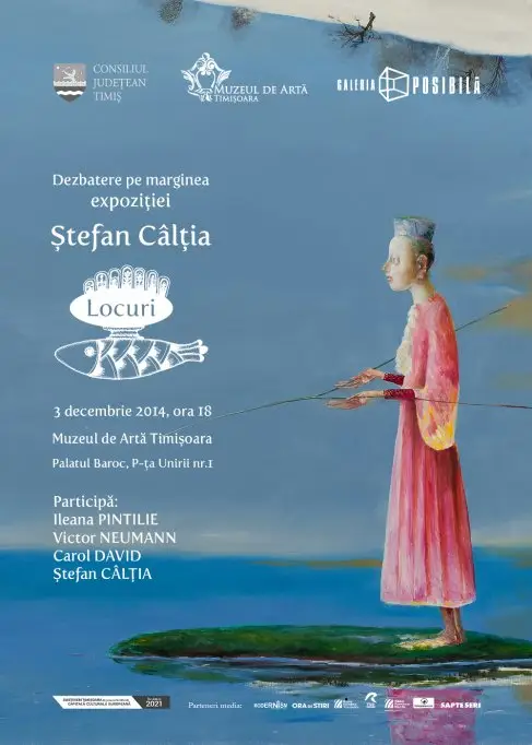 Dezbatere Stefan Caltia.Locuri