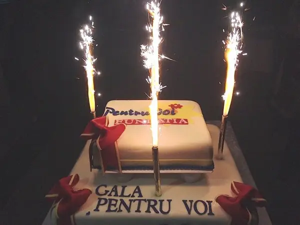 Gala „Pentru Voi” un eveniment caritabil de succes