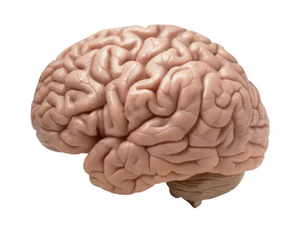 Pasi simpli spre obtinerea unui coeficient de inteligenta (IQ) imbunatatit