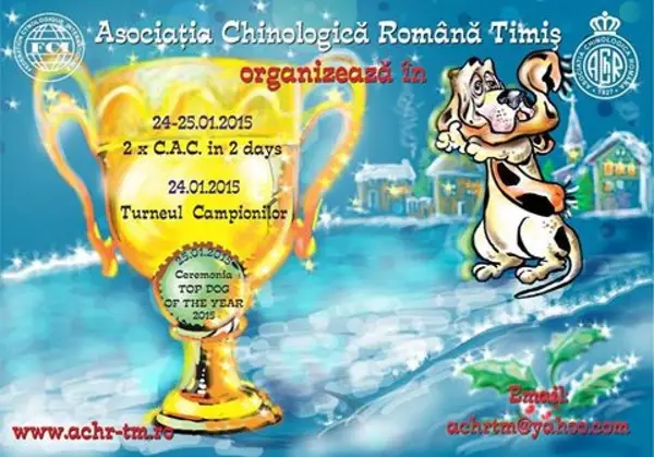 2 X CAC & Turneul campionilor {Ch of Ch}, Top Dog of the Year