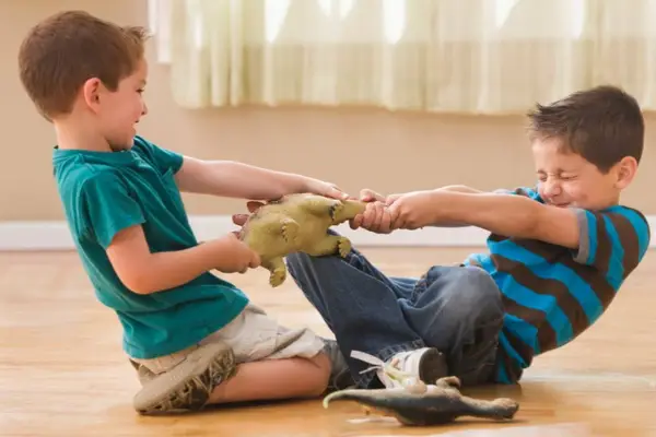 Conflicte, rivalitate si autoritate in familie