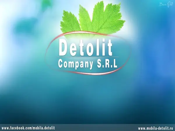 Detolit Company