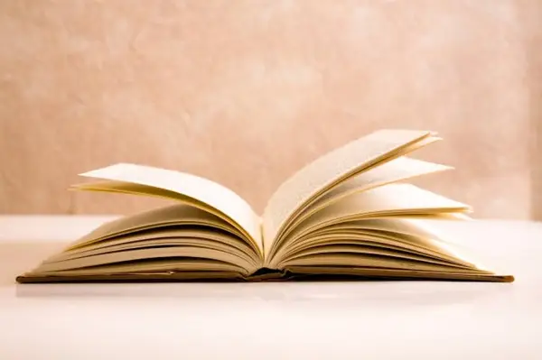 Spuneti NU timbrului literar!