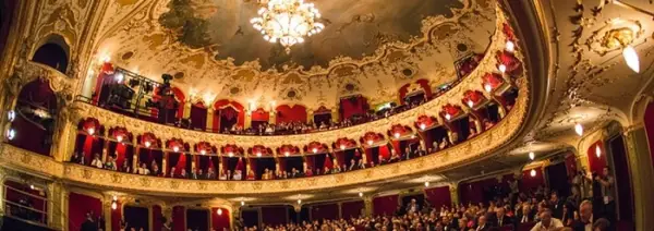 Gala Profesorului Bologna