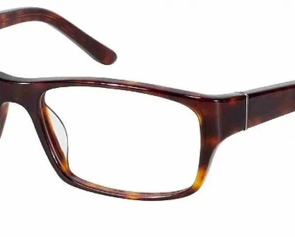 Jaguar 1004