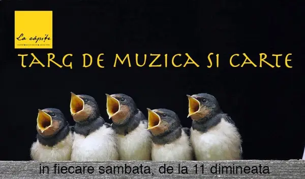 Targ de muzica si carte