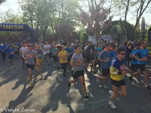Alergotura organizeaza primul semimaraton la Padurea Verde din Timisoara