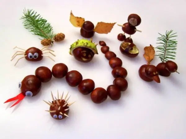 Animalutele toamnei