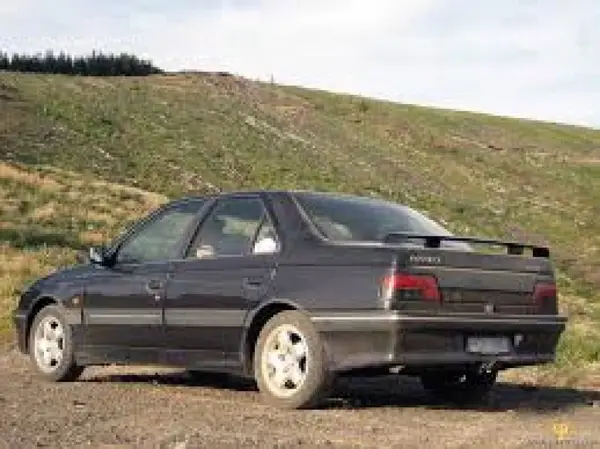 Vand piese Peugeot 405