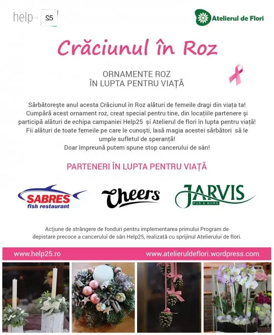 Craciunul in Roz - ornamente roz in lupta pentru viata