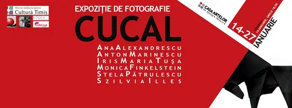 Expozitia CuCal