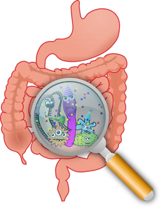 De ce este important sa stim despre existenta parazitilor intestinali? (I)