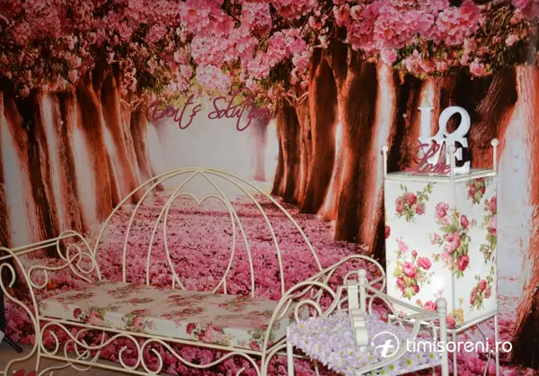 IM Marriage - februarie