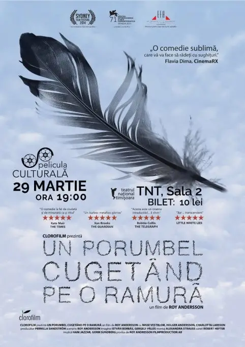 Un porumbel cugetand pe o ramura