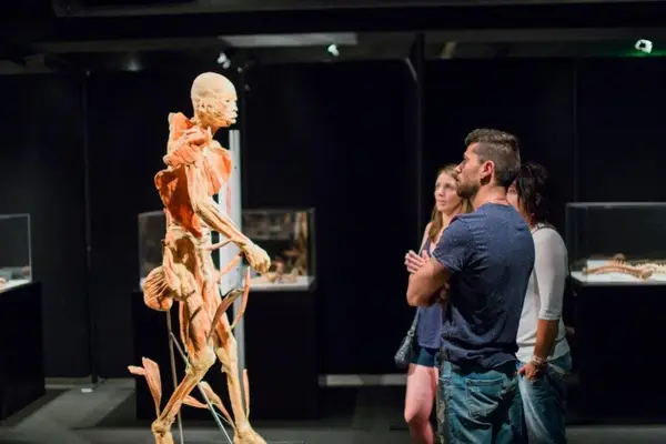 Expozitia „OUR BODY: Universul Interior”: ultima luna la Timisoara