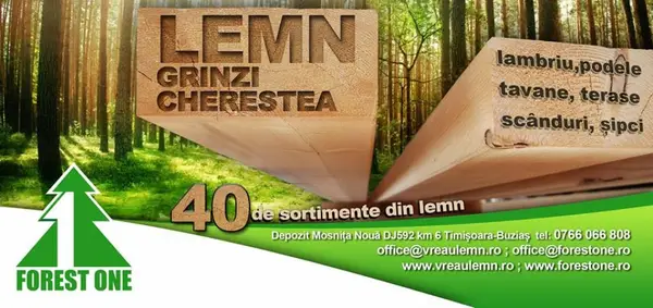 Forest One