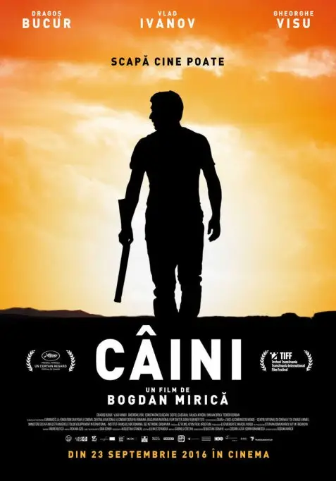 Caini