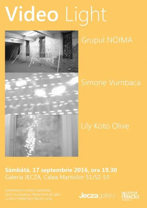 Filme de scurt metraj in cadrul expozitiei Sorin Scurtulescu Movement of Light