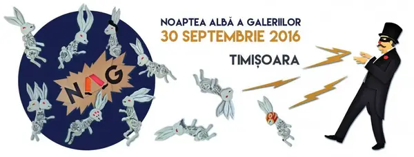 Noaptea Alba a Galeriilor